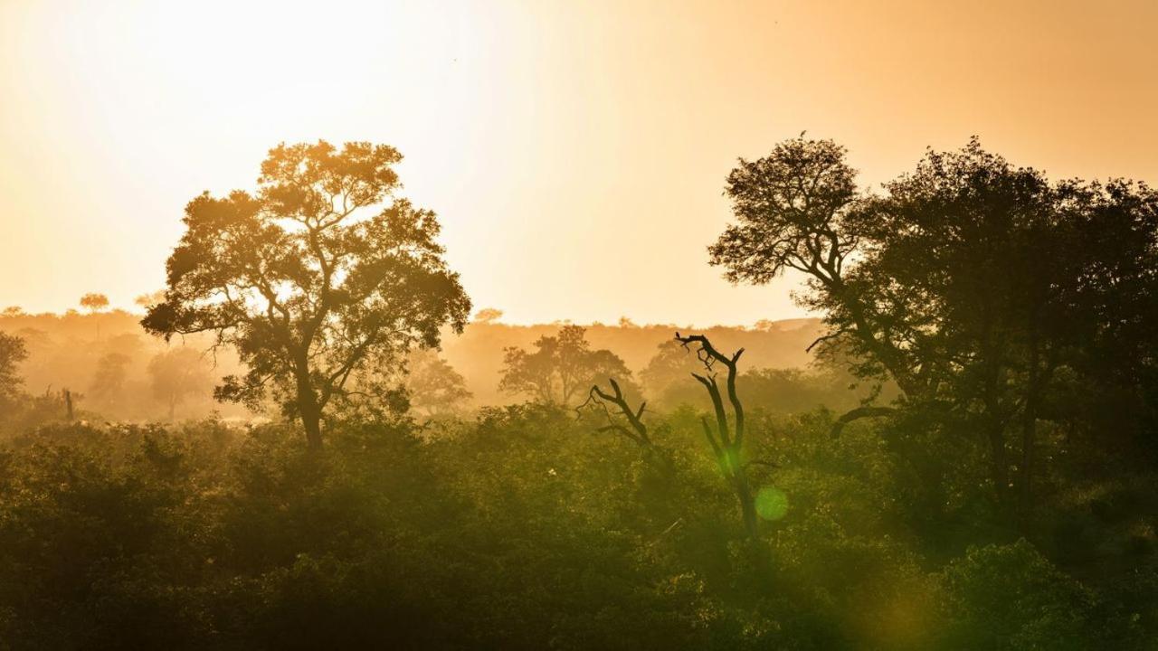 Geiger'S Camp In Timbavati Game Reserve By Newmark Exteriér fotografie