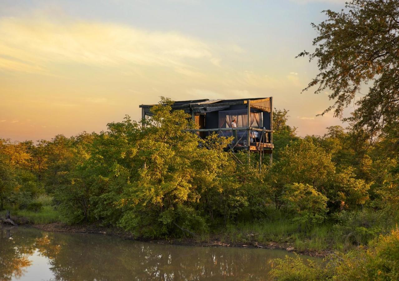 Geiger'S Camp In Timbavati Game Reserve By Newmark Exteriér fotografie
